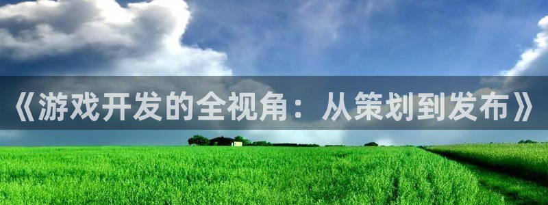 pp电子官网注册平台怎么样可靠吗：《游戏开发的全视角：从策划到发布》