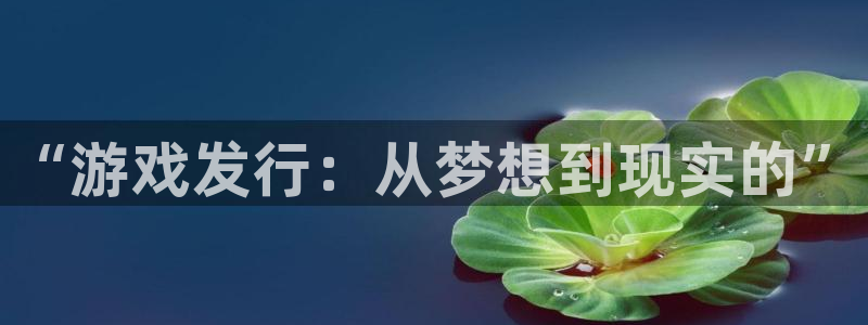 pp电子官网客服服务电话号码：“游戏发行：从梦想到现实的”