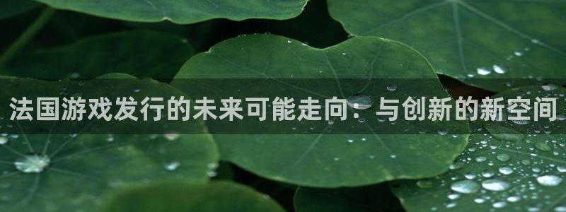 pp电子子传媒集团ceo：法国游戏发行的未来可能走向：与创新的新空间