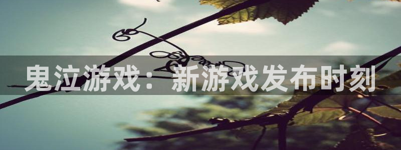 pp电子官网注册登录失败：鬼泣游戏：新游戏发布时刻