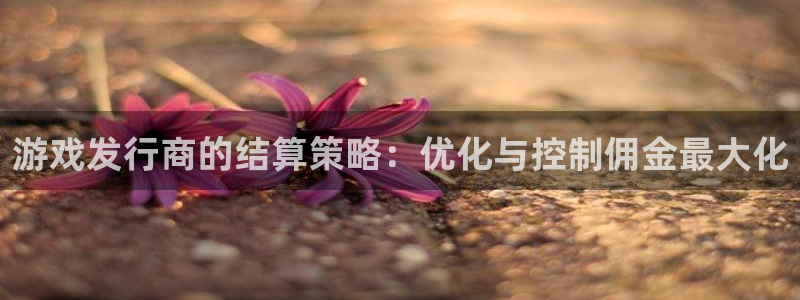 pp电子官网代理注册不了：游戏发行商的结算策略：优化与控制佣金最大化