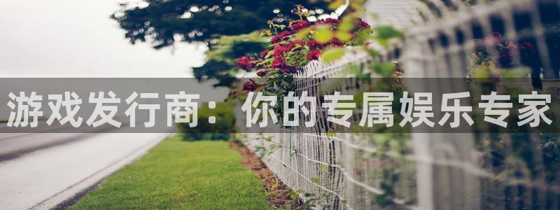 pp电子官网登录注册失败怎么办：游戏发行商：你的专属娱乐专家