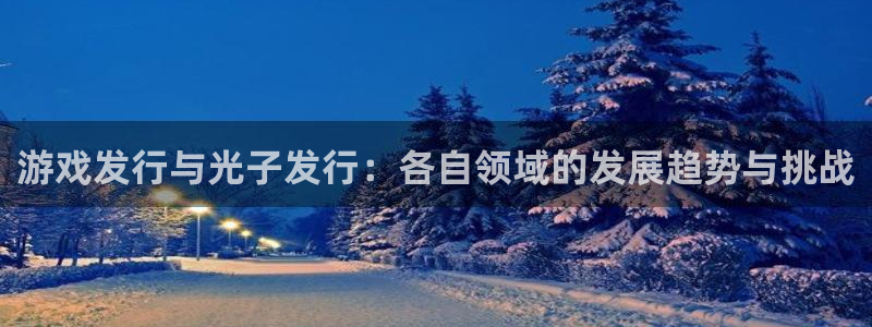 pp电子子经理人：游戏发行与光子发行：各自领域的发展趋势与挑战
