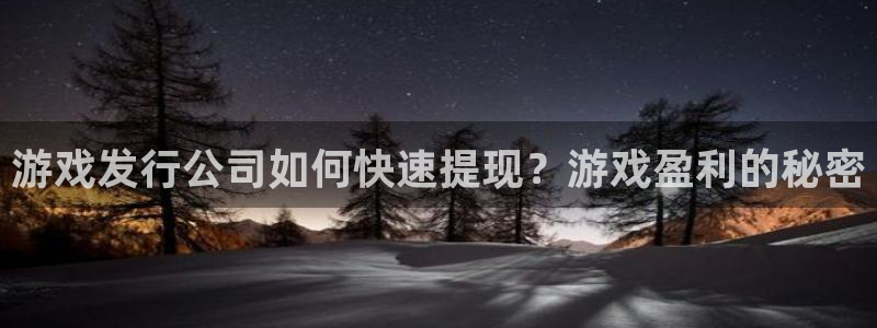 pp电子官网注册方法：游戏发行公司如何快速提现？游戏盈利的秘密