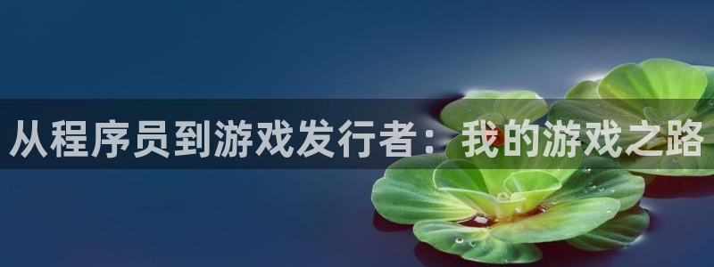 lvncespp电子衣服价格：从程序员到游戏发行者：我的游戏之路