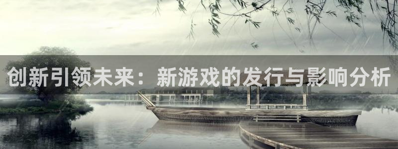 pp电子子代表什么意思