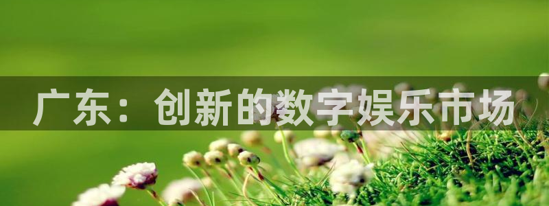 pp电子官网客服电话