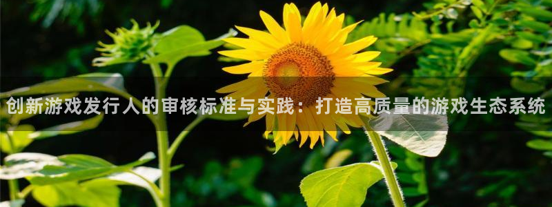 pp电子是什么