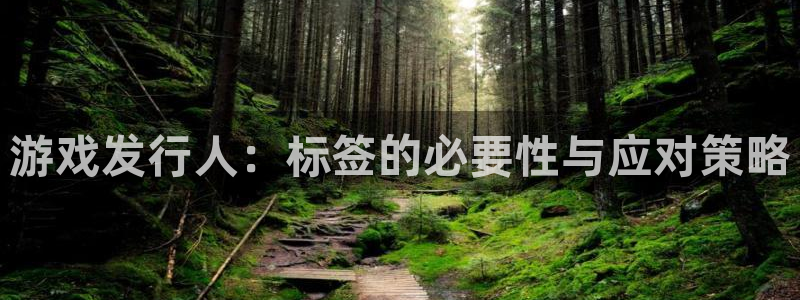 pp电子子招聘：游戏发行人：标签的必要性与应对策略