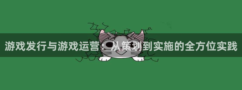 广州pp电子网络科技有限公司怎么样